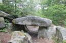 forêt des 3 Pignons
